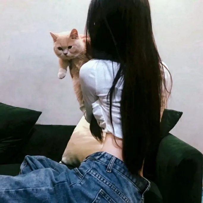圣斗士星矢 邪神艾莉丝